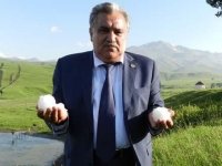 Əhəd Abıyev koronavirusa yoluxub? - RƏSMİ