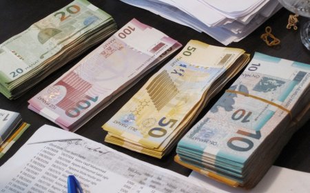 “ABB-İnvest İnvestisiya Şirkəti”nin nizamnamə kapitalı necə formalaşıb?