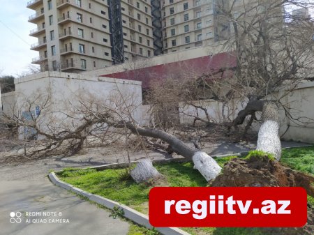 Bakıda daha bir məktəbin damı uçdu FOTO Bakıda daha bir məktəbin damı uçdu FOTO