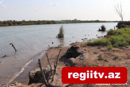 Kürdə boğulan bacı-qardaş intihar edib?