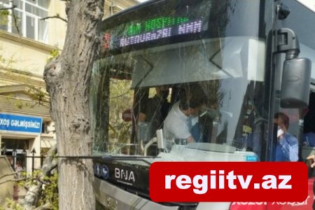 “BakuBus”un avtobusu ağaca çırpılıb, xəsarət alanlar var