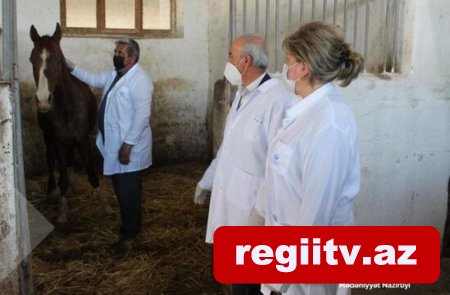 Mədəniyyət Nazirliyindən Şəkidəki Atçılıq Mərkəzi ilə bağlı AÇIQLAMA - FOTO Mədəniyyət Nazirliyindən Şəkidəki Atçılıq Mərkəzi ilə bağlı AÇIQLAMA - FOTO