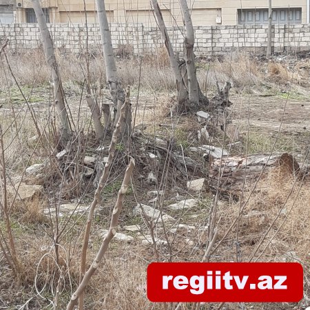 Bakıxanovda köhnə yay parkı kimlər tərəfindən zəbt olunub? Bakıxanovda köhnə yay parkı kimlər tərəfindən zəbt olunub?