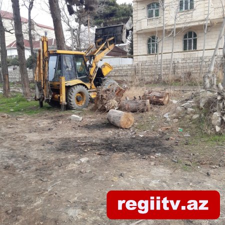 Bakıxanovda köhnə yay parkı kimlər tərəfindən zəbt olunub? Bakıxanovda köhnə yay parkı kimlər tərəfindən zəbt olunub?