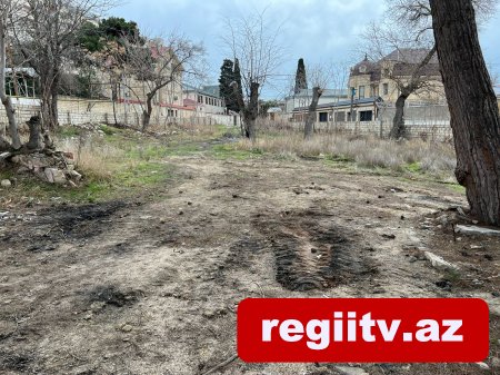 Bakıxanovda köhnə yay parkı kimlər tərəfindən zəbt olunub? Bakıxanovda köhnə yay parkı kimlər tərəfindən zəbt olunub?