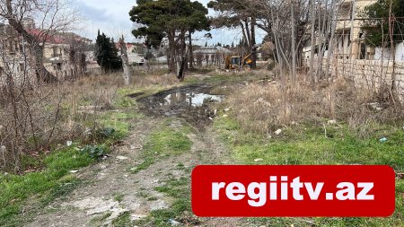 Bakıxanovda köhnə yay parkı kimlər tərəfindən zəbt olunub? Bakıxanovda köhnə yay parkı kimlər tərəfindən zəbt olunub?