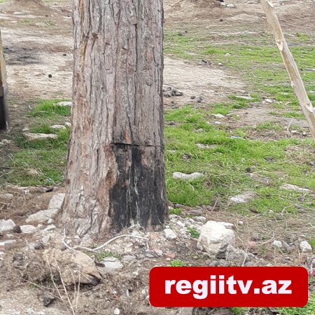 Bakıxanovda köhnə yay parkı kimlər tərəfindən zəbt olunub? Bakıxanovda köhnə yay parkı kimlər tərəfindən zəbt olunub?