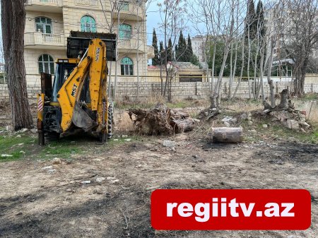 Bakıxanovda köhnə yay parkı kimlər tərəfindən zəbt olunub? Bakıxanovda köhnə yay parkı kimlər tərəfindən zəbt olunub?