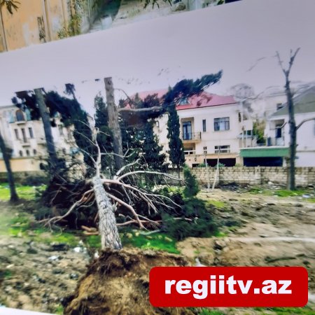 Bakıxanovda köhnə yay parkı kimlər tərəfindən zəbt olunub? Bakıxanovda köhnə yay parkı kimlər tərəfindən zəbt olunub?