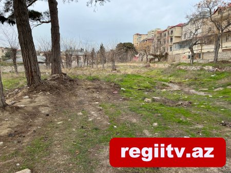 Bakıxanovda köhnə yay parkı kimlər tərəfindən zəbt olunub? Bakıxanovda köhnə yay parkı kimlər tərəfindən zəbt olunub?