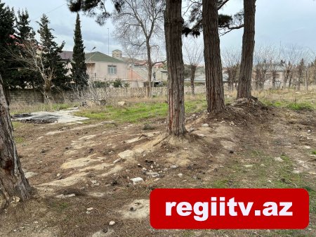 Bakıxanovda köhnə yay parkı kimlər tərəfindən zəbt olunub? Bakıxanovda köhnə yay parkı kimlər tərəfindən zəbt olunub?