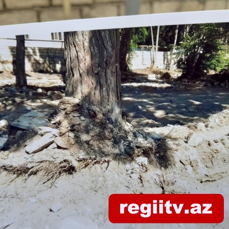 Bakıxanovda köhnə yay parkı kimlər tərəfindən zəbt olunub? Bakıxanovda köhnə yay parkı kimlər tərəfindən zəbt olunub?