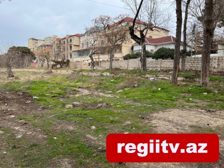 Bakıxanovda köhnə yay parkı kimlər tərəfindən zəbt olunub? Bakıxanovda köhnə yay parkı kimlər tərəfindən zəbt olunub?