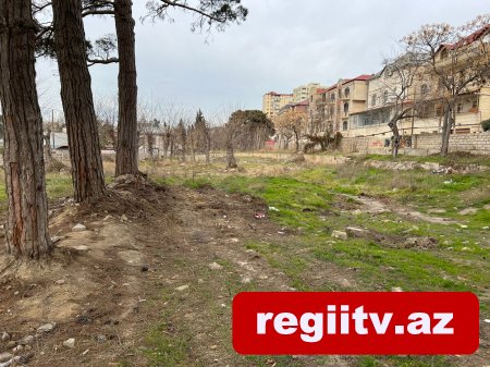 Bakıxanovda köhnə yay parkı kimlər tərəfindən zəbt olunub? Bakıxanovda köhnə yay parkı kimlər tərəfindən zəbt olunub?