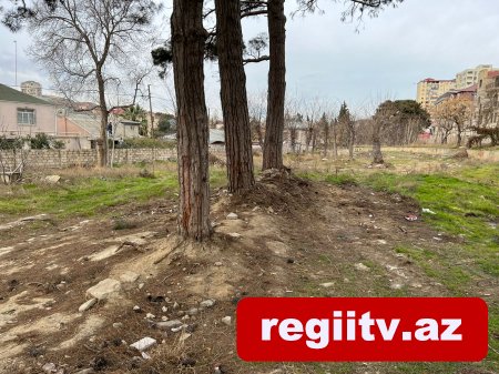 Bakıxanovda köhnə yay parkı kimlər tərəfindən zəbt olunub? Bakıxanovda köhnə yay parkı kimlər tərəfindən zəbt olunub?