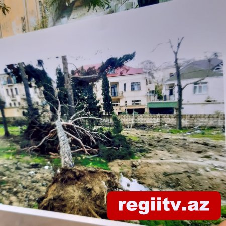Bakıxanovda köhnə yay parkı kimlər tərəfindən zəbt olunub? Bakıxanovda köhnə yay parkı kimlər tərəfindən zəbt olunub?